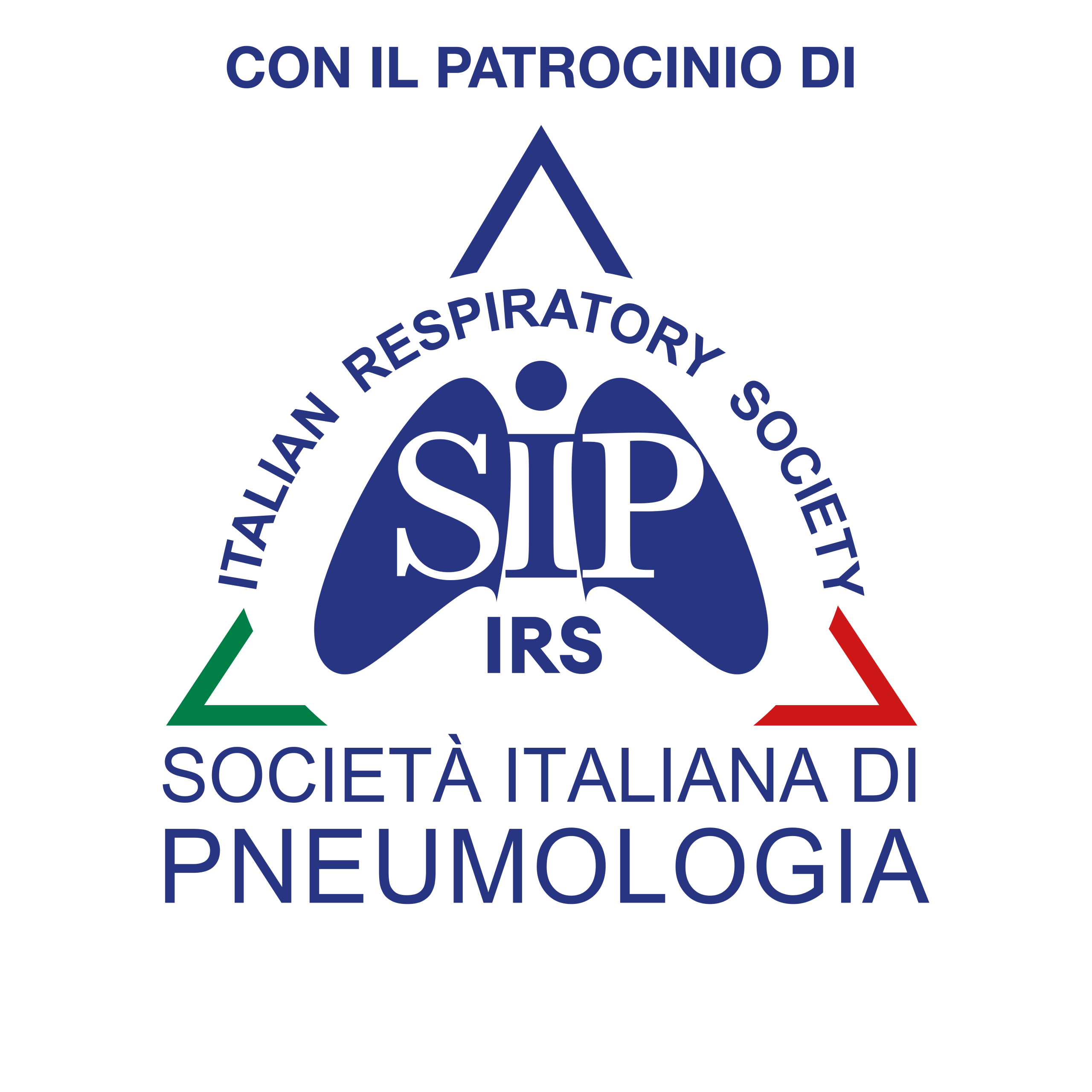 Patrocinio 6